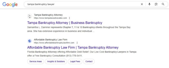 tampa organic results example